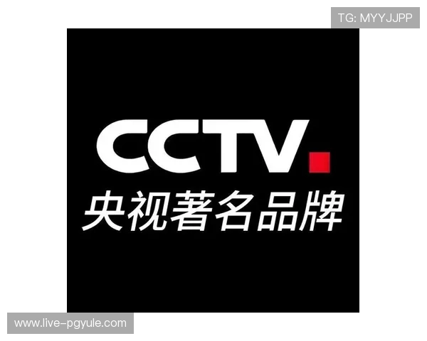 pa视讯官方集团的合作伙伴与品牌背书,增强用户信任感与品牌认知