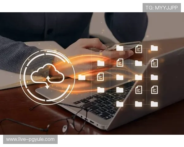 在DG视讯平台如何高效管理账户安全保障个人信息安全